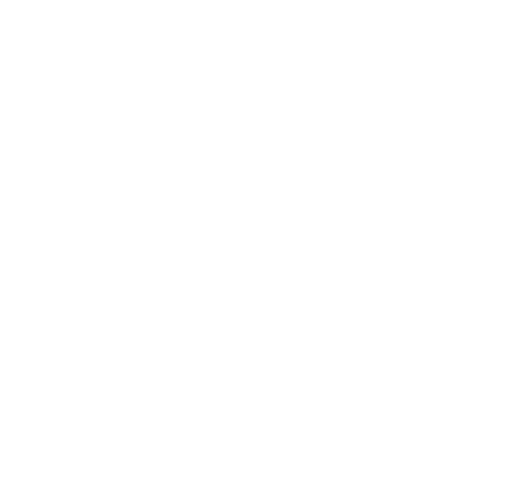 FN America logo